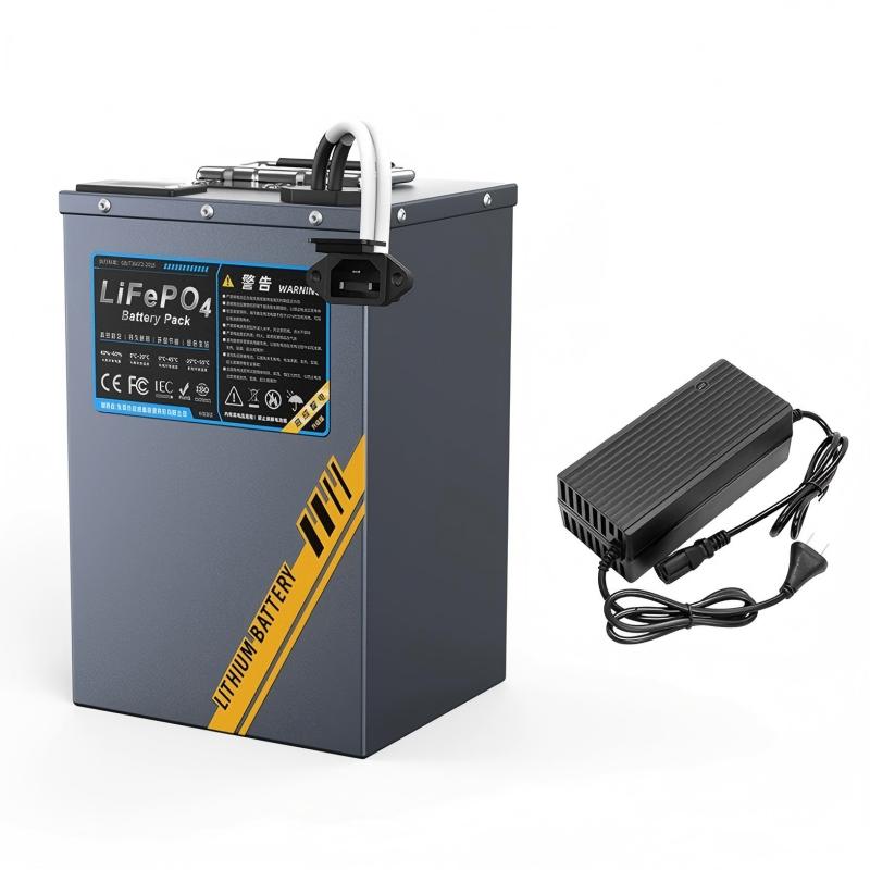 60V LFP Lithium Battery, Replacement Battery for 2-Wheel & 3-Wheel Electric Bikes & Scooters